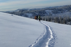 Schneeschuh201409
