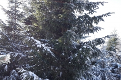 20170120_130721