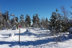20170120_133014