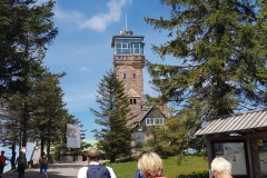 IMG-20190601-WA0005
