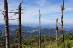 IMG-20190601-WA0007