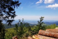 IMG-20190601-WA0008