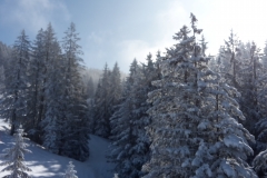 20180224_111248
