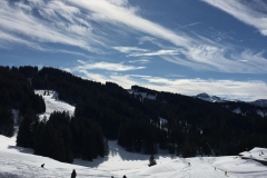 IMG-20200217-WA0086