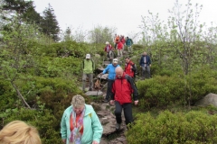 Wanderung_012