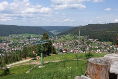DSC05005